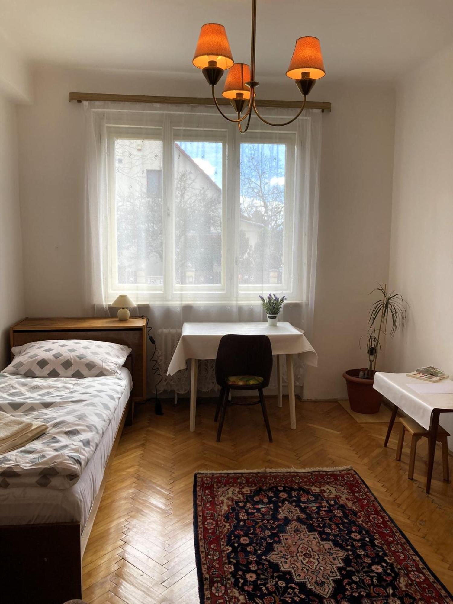 Spacious Apartment - Free Parking! براغ المظهر الخارجي الصورة