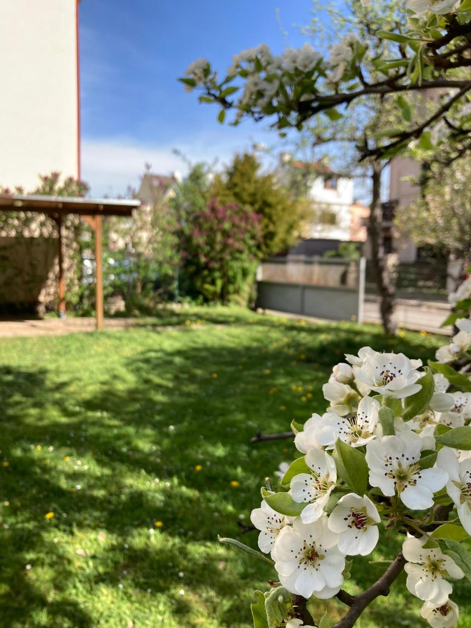 Spacious Apartment - Free Parking! براغ المظهر الخارجي الصورة